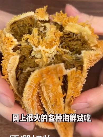 海鮮開箱｜台灣奇亞挖礦阿凱的風扇與機械鍵盤開箱