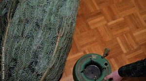 Christmas tree fastener.holder for holiday tree. hands place a Christmas tree holder near a packaged Christmas tree in a net on the parquet floor. View from above. 4k footage