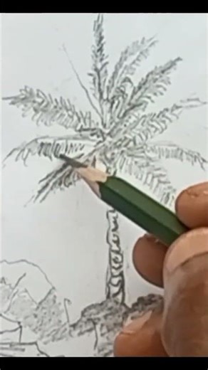 Palm Tree Drawing Tricks | Easy Pencil Hacks for Realistic Fronds#Shorts