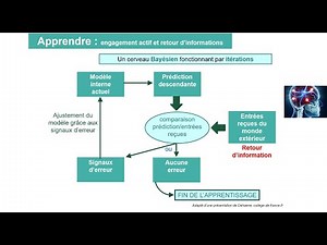 ANIMATION EVALUATION