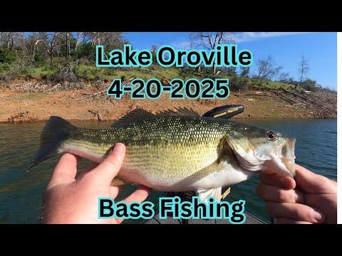 Lake Oroville Bass Fishing April 20, 2025