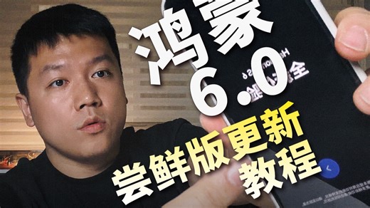 华为鸿蒙6.0尝鲜版更新教程