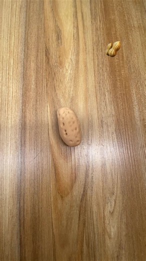 Bagaimana Loh Loh Bisa Berubah Jadi Squishy? Cara & Penjelasan Singkat