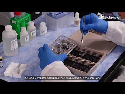 Ce3D™ Tissue Clearing Kit Staining Protocol for Microscopy