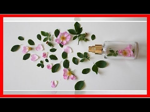 Rosenwasser selber machen: Eine einfache Anleitung