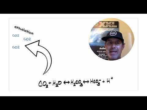 Carbonic Acid-Bicarbonate Equation & pH homeostasis
