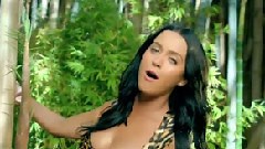 Roar 中英字幕(迪幻字幕组)