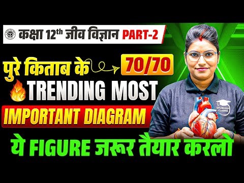 12th Biology पूरी किताब के Most Imp Diagrams /Class 12 Biology Most Important Diagrams UP Board 2026