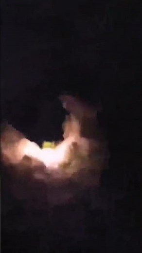 Let's take a quick trip on Avatar — Flight of Passage at Disney’s Animal Kingdom park