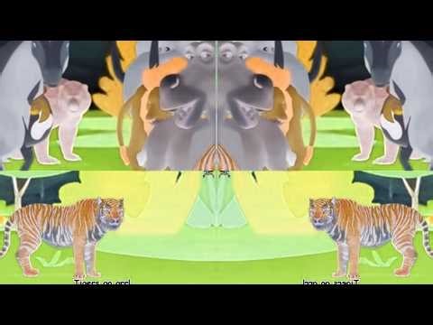 Sing The Song Of All The Animals Combined!! | Animal Distorted Song | Gamavision Csupo Effects