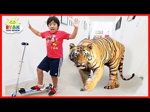 Ryan Pretend Play with Zoo animals for Children Hide and Seek!!! - Videos For Kids