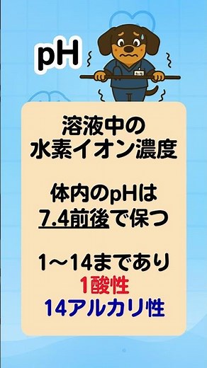 【1分で国試対策】意外と知らない！？ 体のpHを決めるのはコレ！ 〜酸性・アルカリ性の仕組み〜 #国家試験 #理学療法 #看護学生 #作業療法 #生理学 #酸塩基平衡