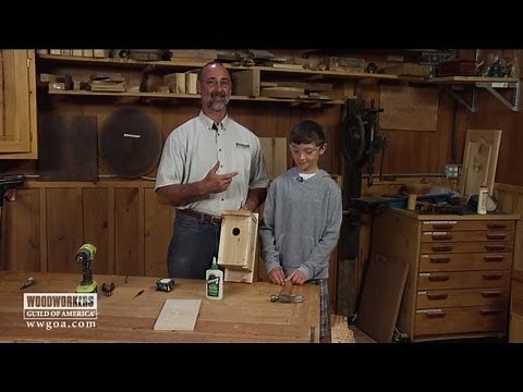 Building a Birdhouse