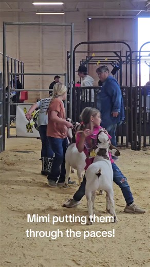 Show Goat Training Techniques with Mimi