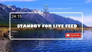 vibal-live-now-research-based-knowledge-and-principles-of-teaching-and ...