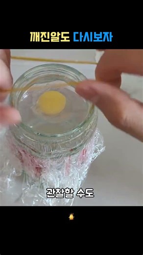 🐢 깨진 알에서 거북이가 태어날 수 있을까?