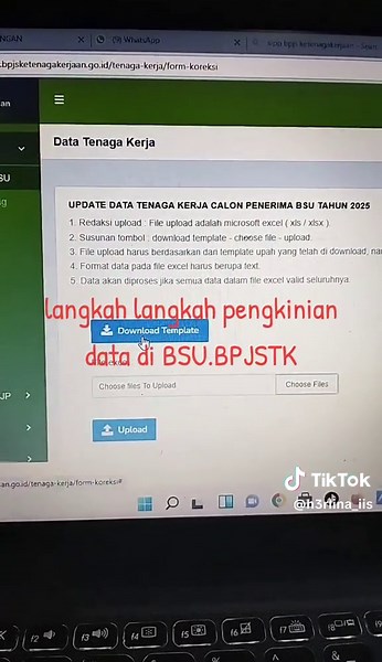 Panduan Pengkinian Data BSU 2025 di SIPP BPJS TK