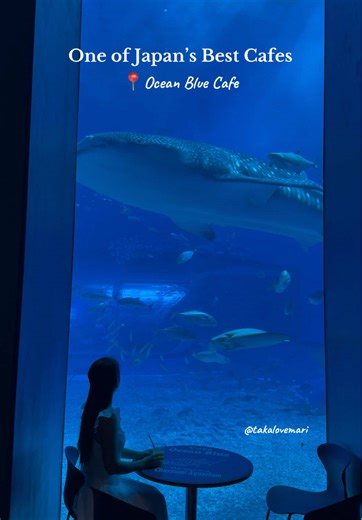 Discover Cafe Ocean Blue at Churaumi Aquarium, Japan
