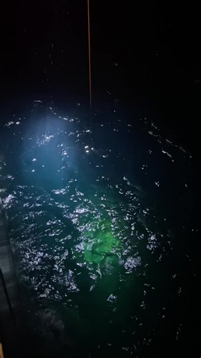 Remotely Operated Vehicle — #subsea #offshore #marine A Remotely Operated Vehicle (ROV) is an unoccupied, highly maneuverable underwater robot connected to a surface ship via a tether.