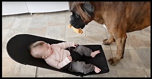 Boxer Had Baby And Mom ‘Cracking Up’ With His Performance