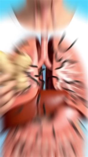 The Amazing Journey of Ginger Inside your Body | 3D Animated Content #sciencefacts #FYP #Ginger #health #creatorsearchinsights