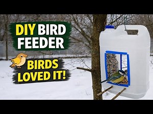 DIY Bird Feeder from Plastic Bottles 🐦 Birds Loved It Immediately!