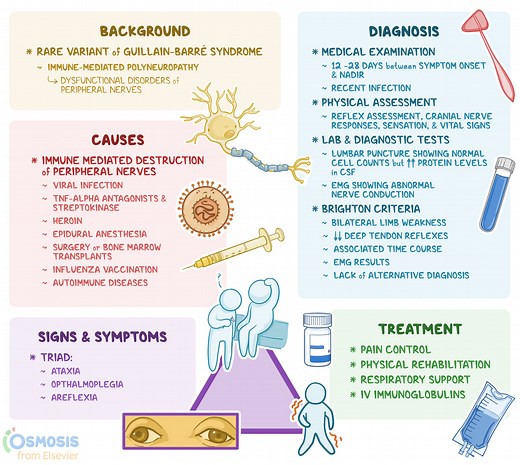 Miller Fisher Syndrome: What Is It, Causes, Signs, and More | Osmosis
