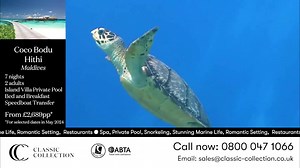 Classic Collection TV is back for a new series and you can watch the first episode in full over on our Youtube channel ▶️ Let's go the the Maldives... 🏝 | Classic Collection