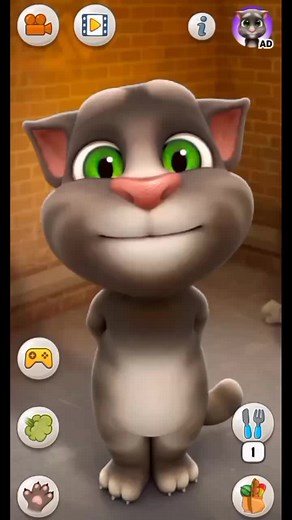 #reels #Talking #reel #reels__tiktok #reelsviral #reelsvideo #viral #Tom #shorts #cat