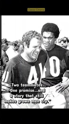 “This True NFL Story Will Break You 💔| Brian’s Song” #Shorts #Piccolo #Sayers #ChicagoBears