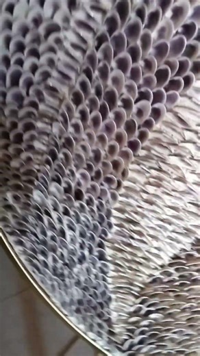 Shell art that's not just home decor.It's presence.