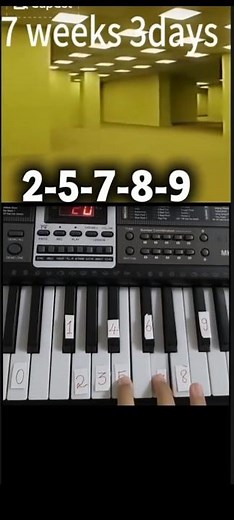 7weeks 3days piano #piano #keşfet #7weeks3day #truditional