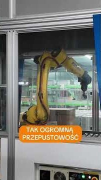 AI bierze się za operatorów wózków widłowych. Odwiedziłem firmę Hama