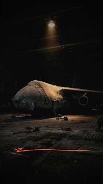 How the "Mriya" - the largest aircraft in the world - died