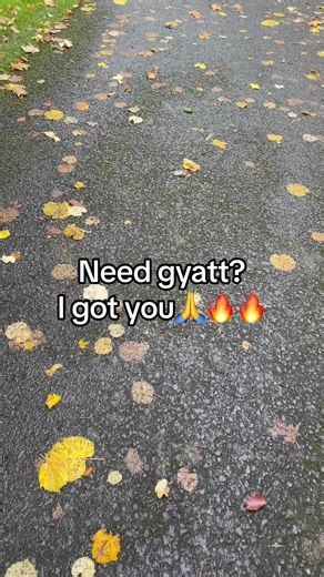 Irresistible Amazon Finds You Must Have