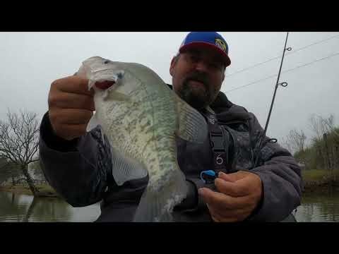 DOCK SHOOTING FOR SPAWNING CRAPPIE - MARCH 2026
