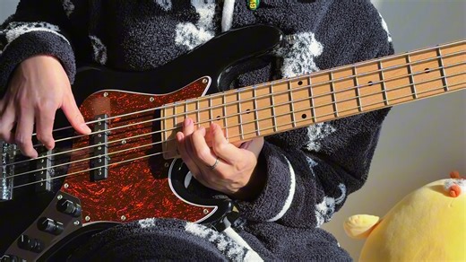 有点连汤带水了Disco yes-Basscover