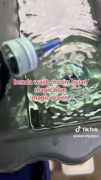 Essential Guppy Care Tips for Rainy Seasons