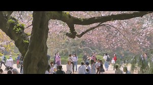 37K views · 44 reactions | Play Tokyo is an original video project featuring the latest ways to enjoy Tokyo. The videos hosted here are made by videographerswho know the ins and outs of Tokyo. Find the city’s hidden gems and look into the daily lives of its residents with quick clips that invite you to re-discover Tokyo and make the most of your trip. Play Tokyo has over 650 videos so farand more are published every week. Videographer : NICE BROTHERS(Edit) | PLAYTOKYO | Facebook