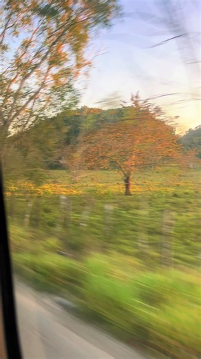 Video de Frases🐢angle🇬🇹🇲🇽 (@auiauqtsyyzjjz.17) relacionado con “soltera”