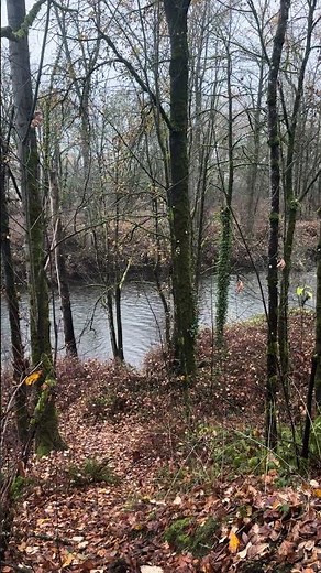 Green river in Kent, WA