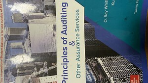 The Principle of Auditing