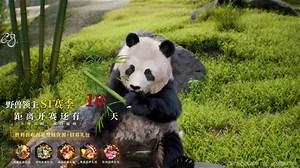 255415_原创3D混剪-展示-S1赛季倒计时_1280x720-衍生_670ceebd9ff7a