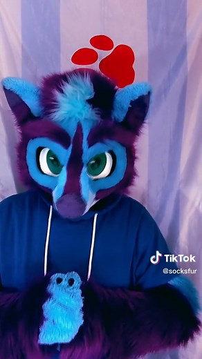 SocksFur on TikTok