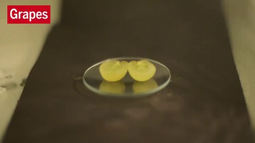 Putting grapes in the microwave has fiery consequences