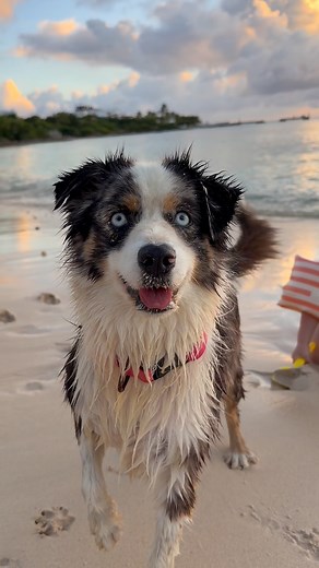 It’s time! #saba #anguilla #visitanguilla #anguillavacation | Breeze Turner
