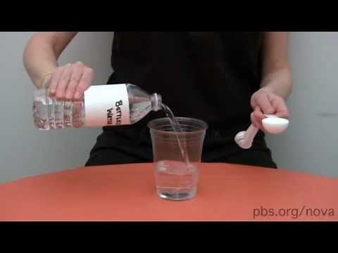 NOVA | Extract Your DNA