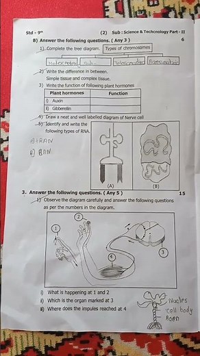 9th standard science part 2 2nd semester examination paper Rayat Shikshan Sanstha