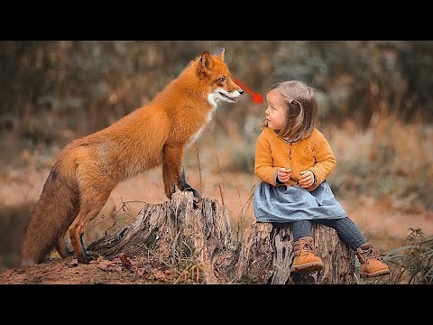 When Foxes Attack