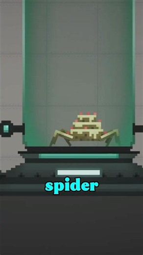 How to Get the SECRET SPIDER NPC in Melon Playground! #melonsanbox #update